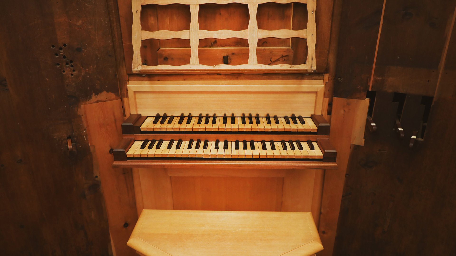 Organo Daniel Herz Organo Daniel Herz