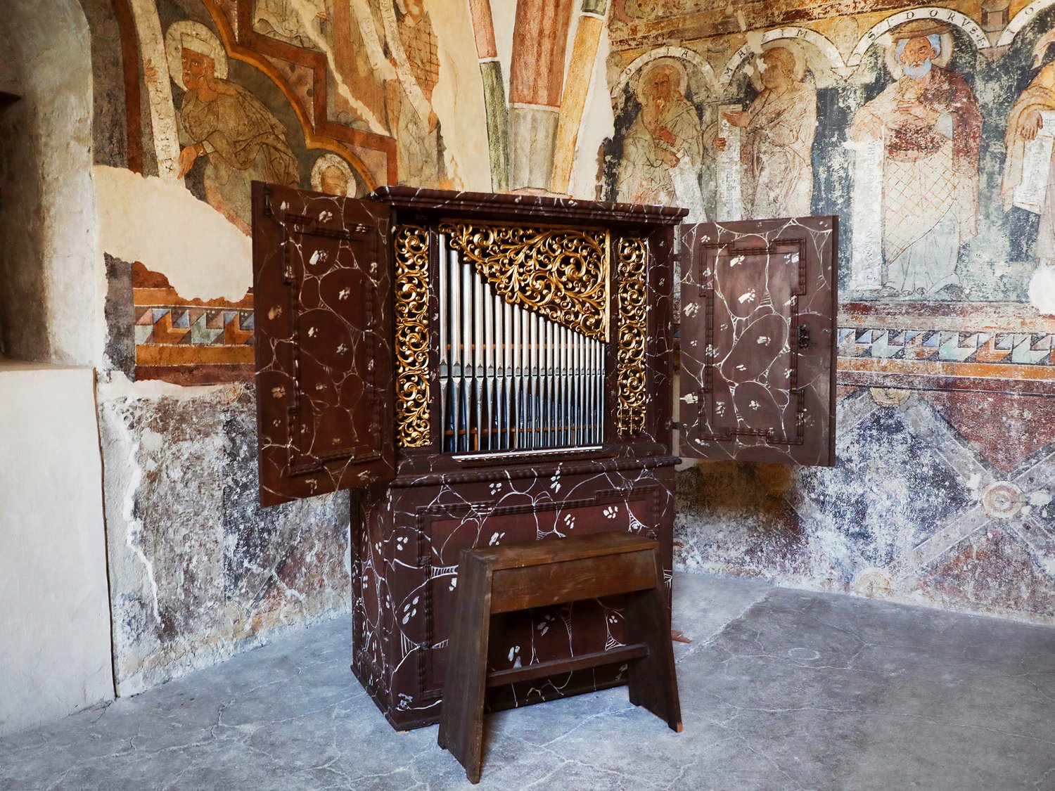 Gli Organi Gli Organi