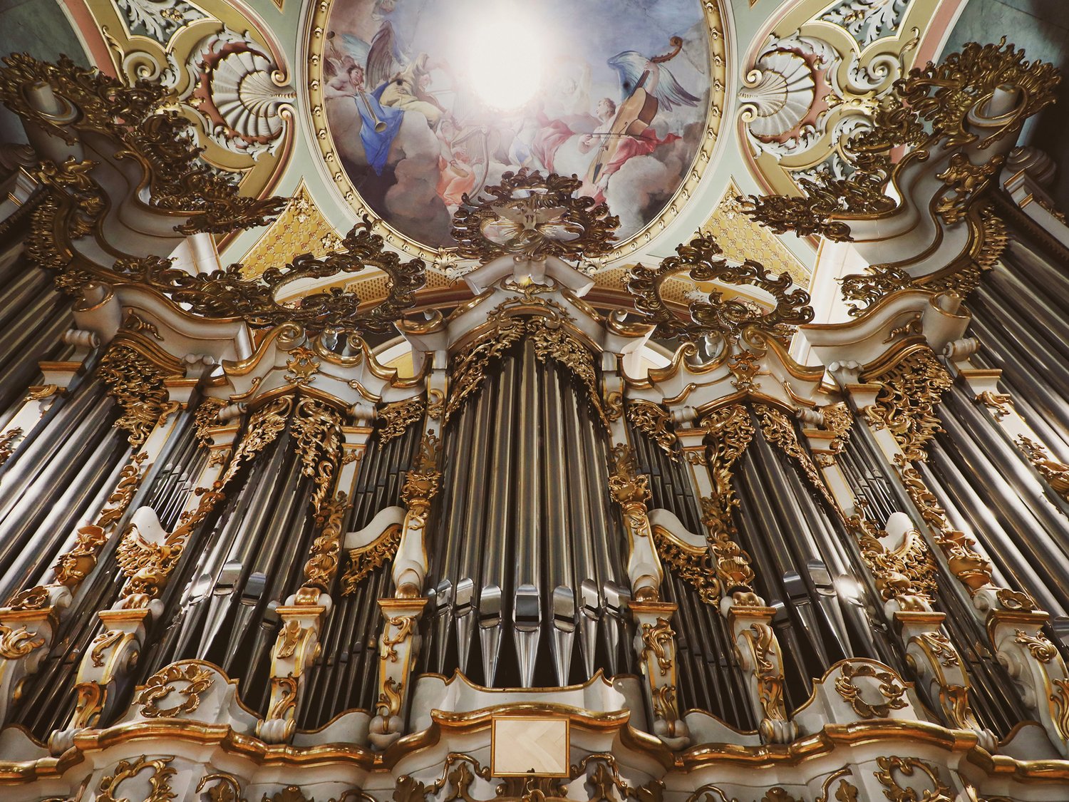 Gli Organi Gli Organi