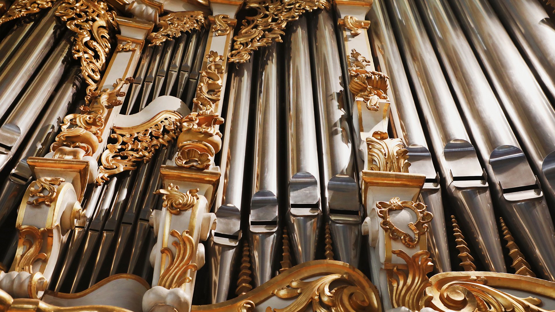 Organo maggiore Organo maggiore