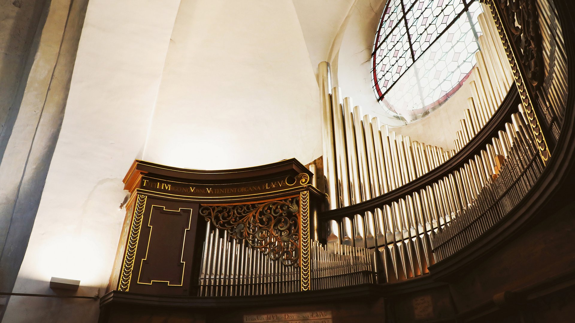 Organo Daniel Herz Organo Daniel Herz