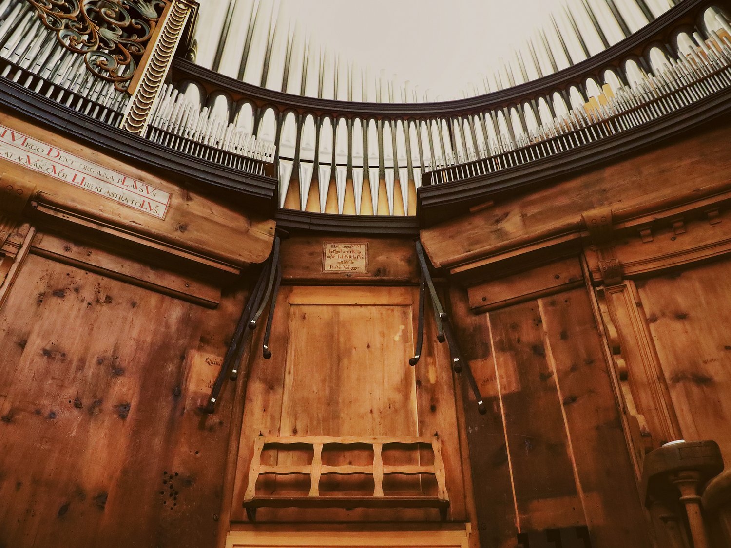 Gli Organi Gli Organi