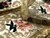 Rorate 11 2024 it