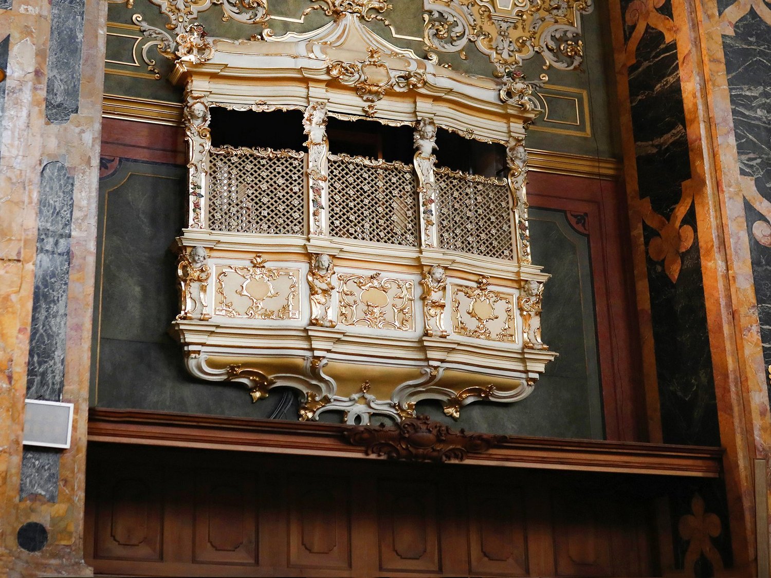 Gli Organi Gli Organi